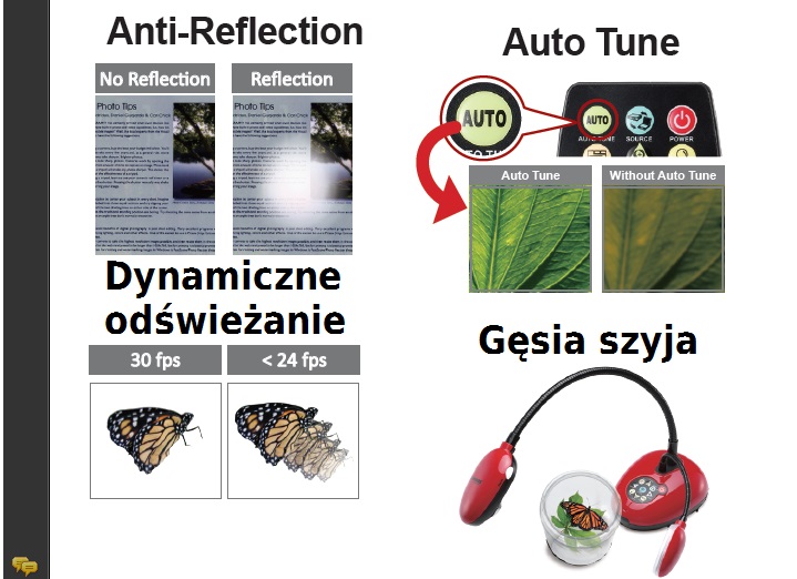 wizualizery